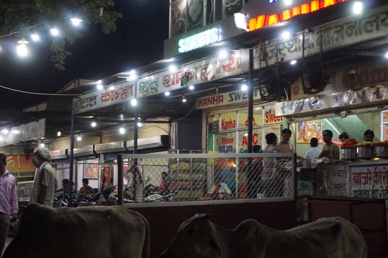 The most important thing to know in this photograph are the words Pure Vegetarian. 74% of Rajasthanis are vegetarians.