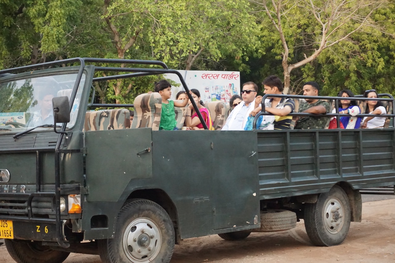 The Canter is the cheaper and most accessible mode of doing the safari. One can also hire a Gypsy but bookings must be done 3 months in advance during peak season.