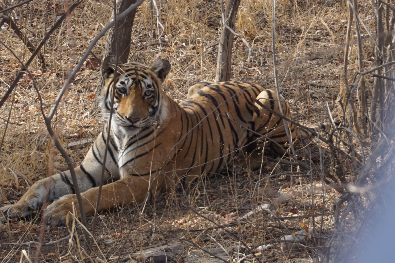 She is known as Lightning.