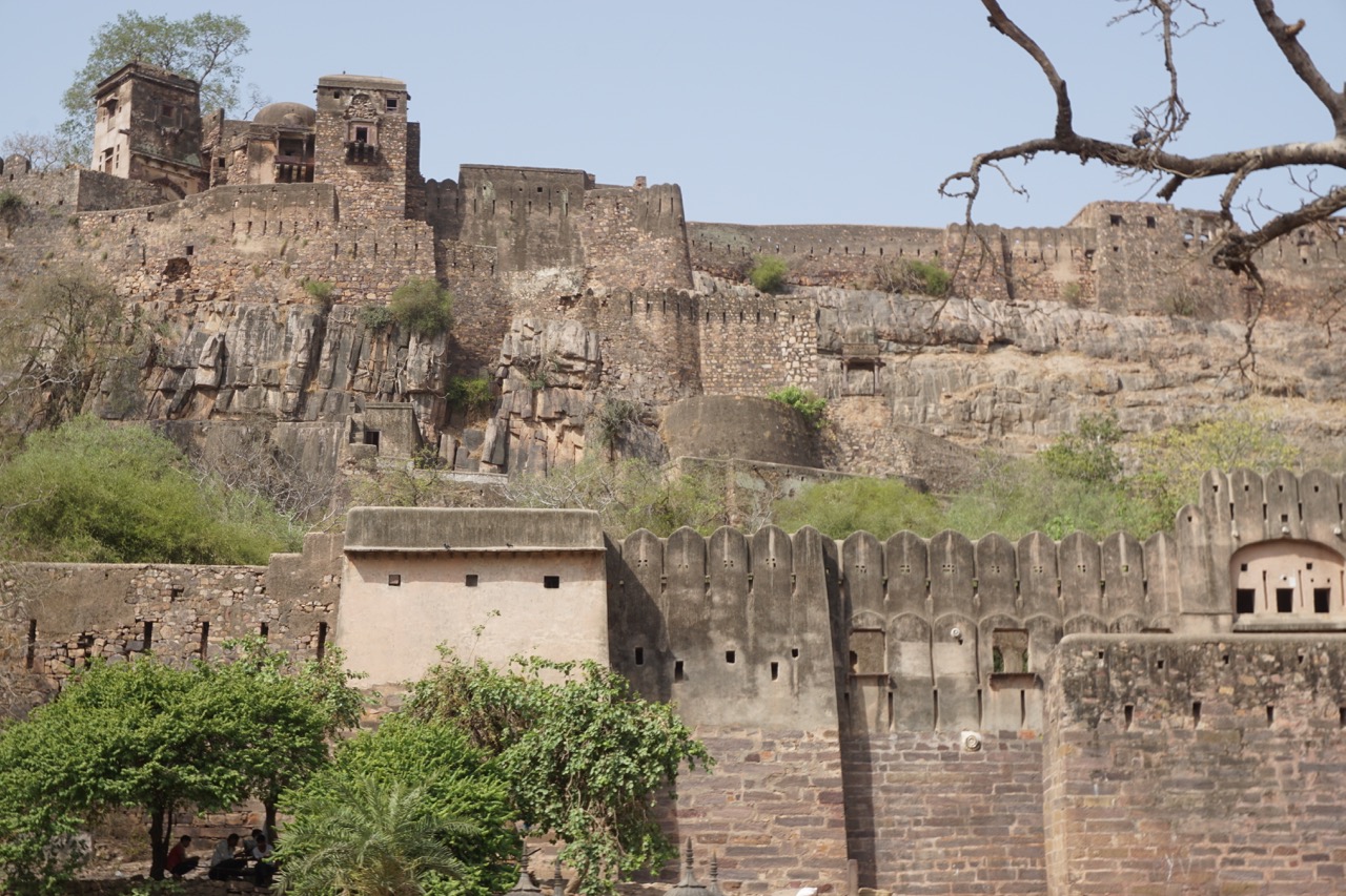 Ranthambore Fort, right at the entry of the national park.