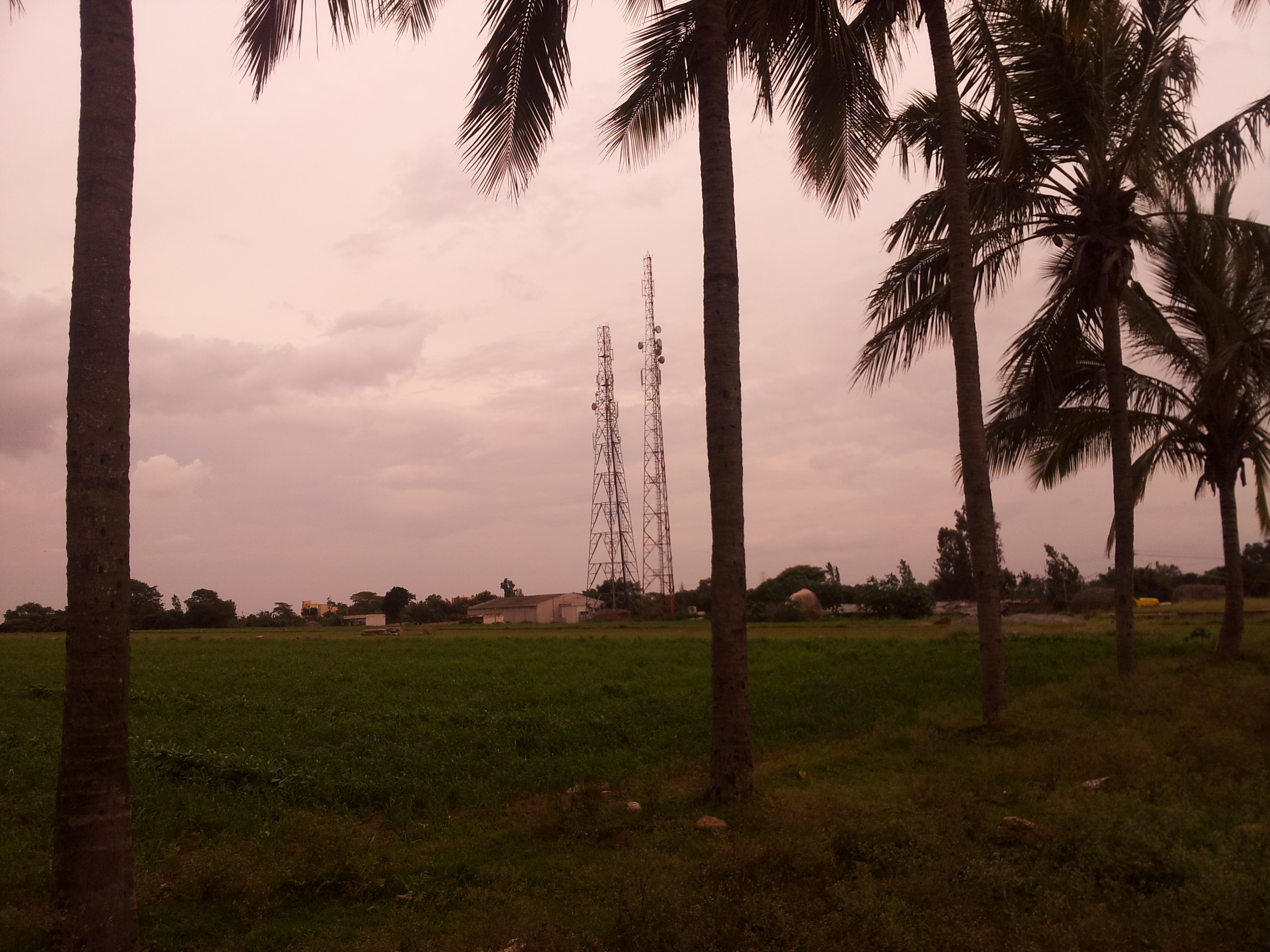 A field outside the campus.
