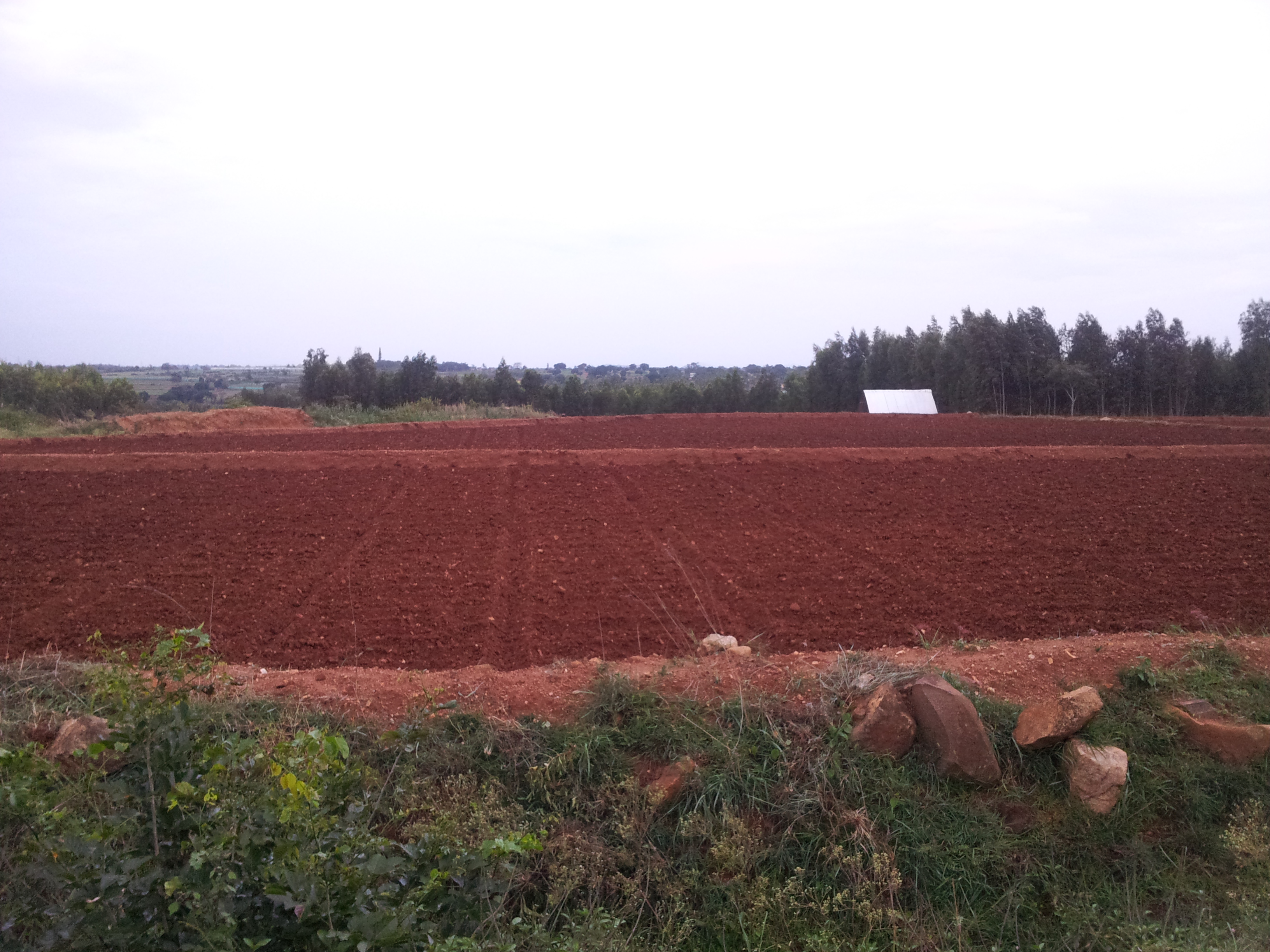 A tilled land just beside the facility.