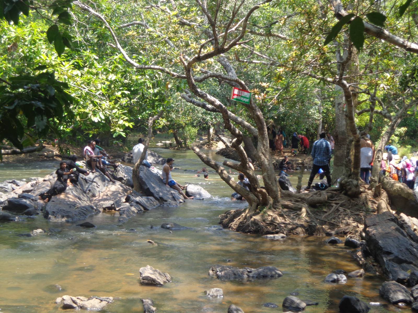 People enjoying a bath in the muddy waters in Kuruva island. There is no flow due to lack of rains.