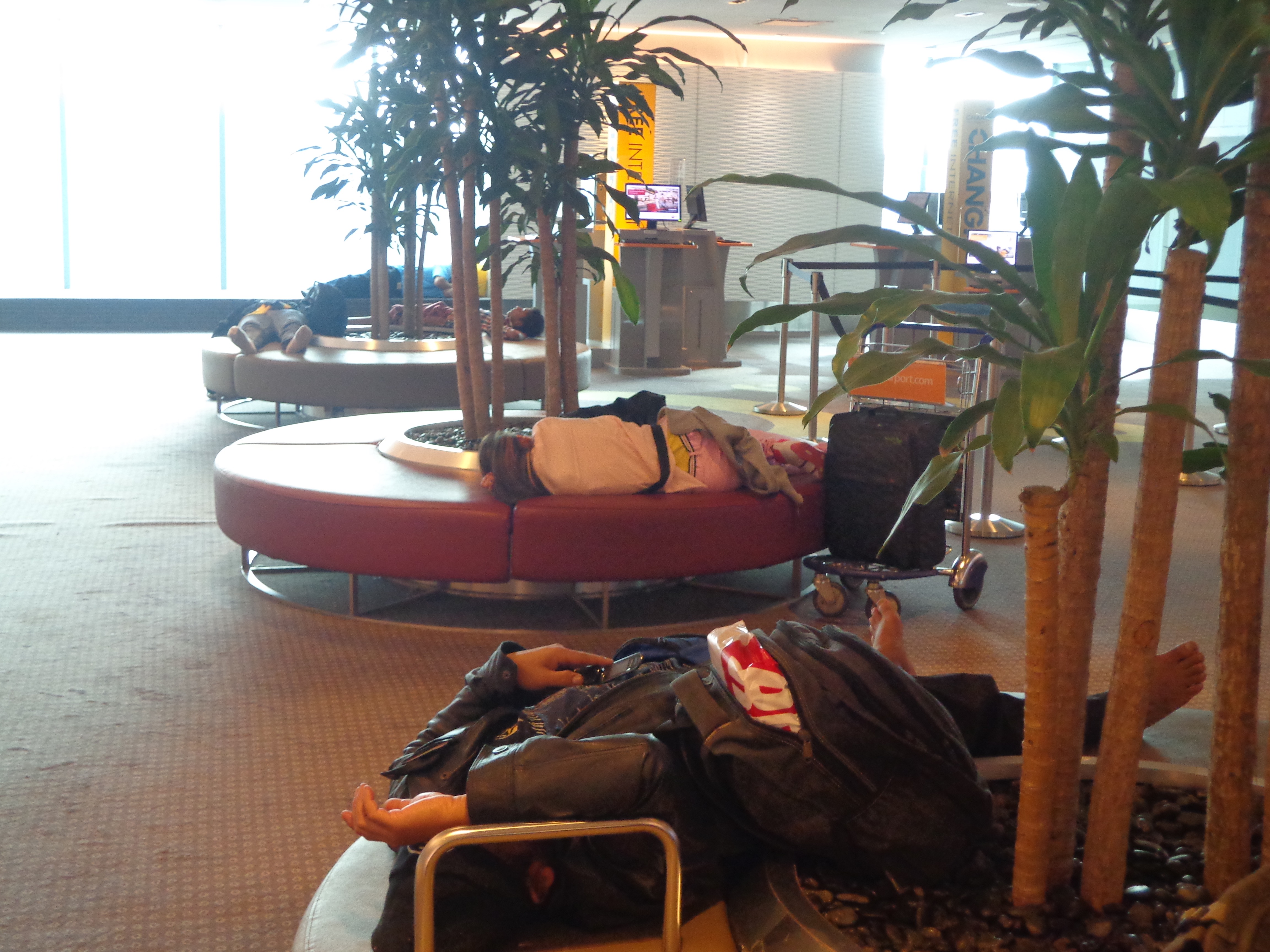 These benches at transit lounges of Changi airport are perfect for a quick nap.