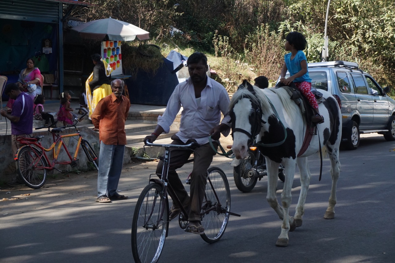 Kids enjoyed the paid horse-riding experience with their guides on a bicycle!