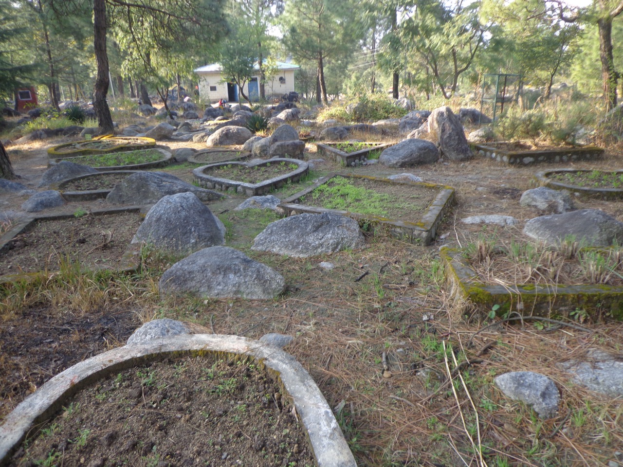 There is a small area dedicated to floral beds. The seeds for this season have just been planted.