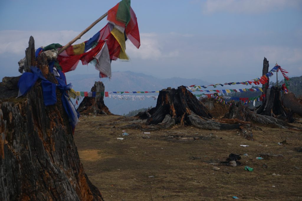 There is a lot of illegal deforestation. This place is also used for picnics as evident from the litter and remains of bonfires.