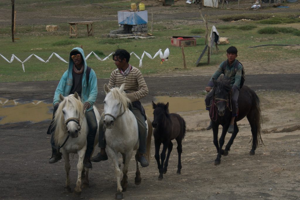 These guys—most of whom are migrant workers from Gaya—have gotten horses from Demul—the next village.