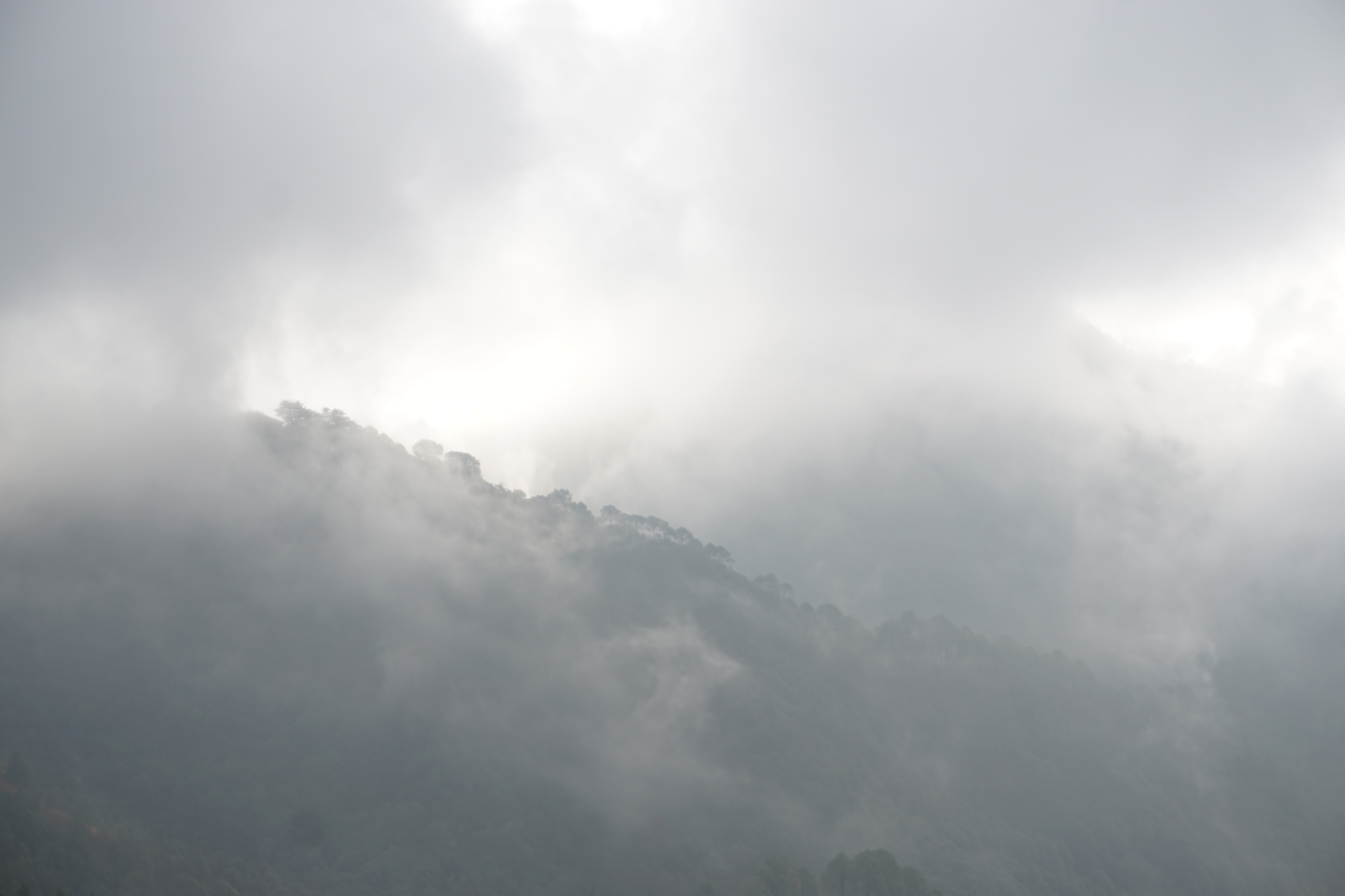 One last view from my hotel in Mussoorie before leaving for Dehradun.