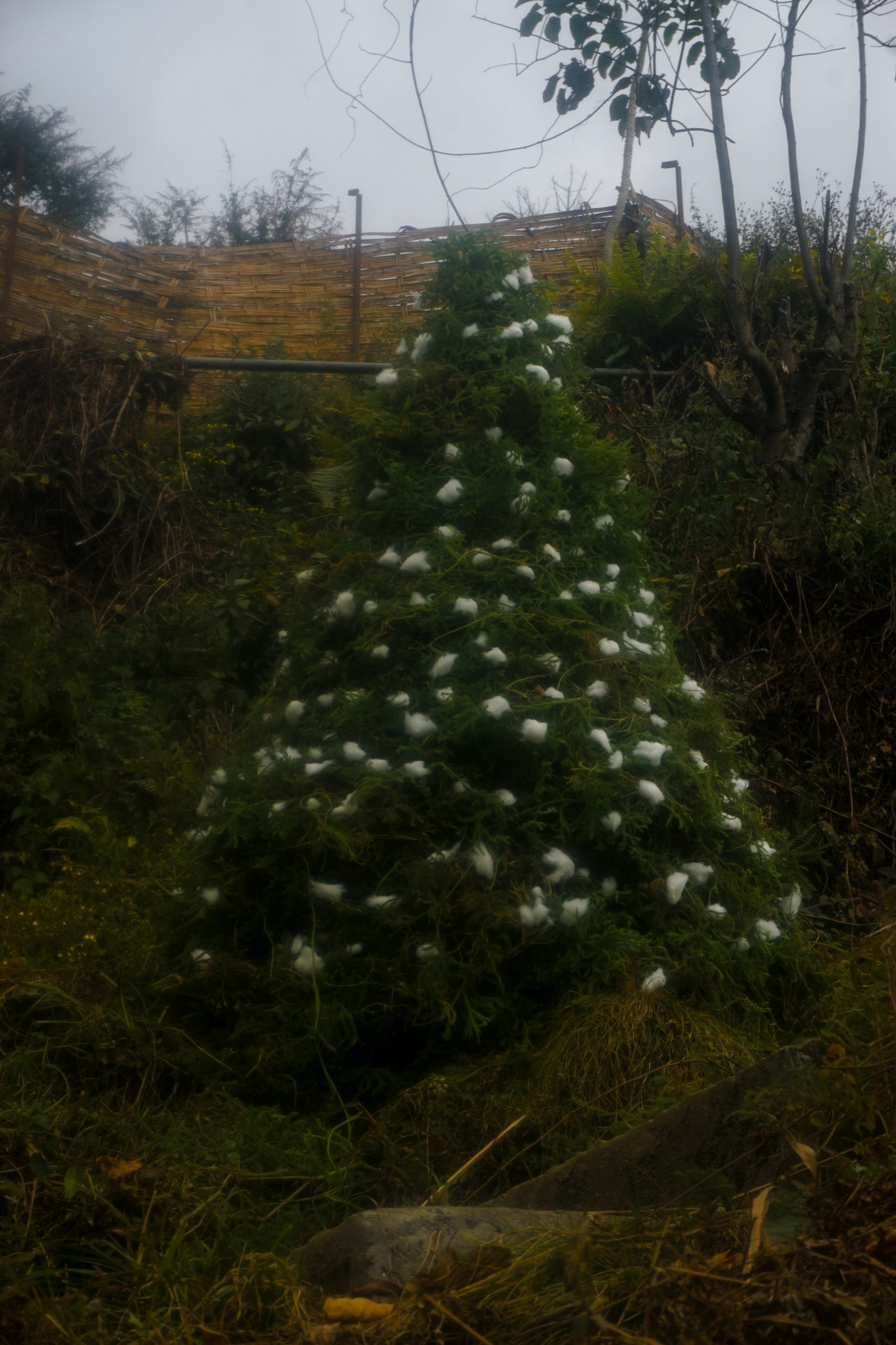 A Christmas tree in front of Independent Vineyard Church. I believe the cotton balls are placeholders for snow that Bomdila usually receives from Christmas week onwards.