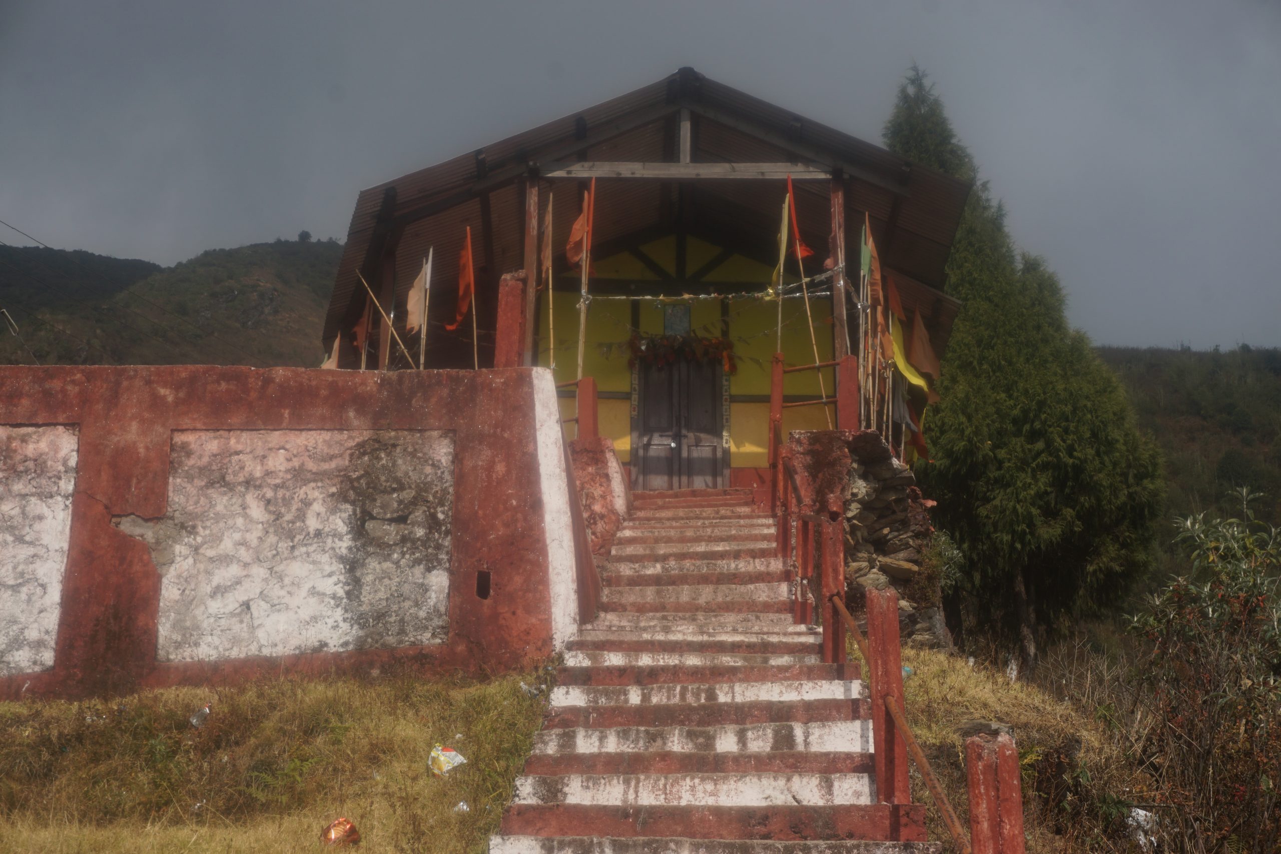 Stairs leading to the Nag Temple.