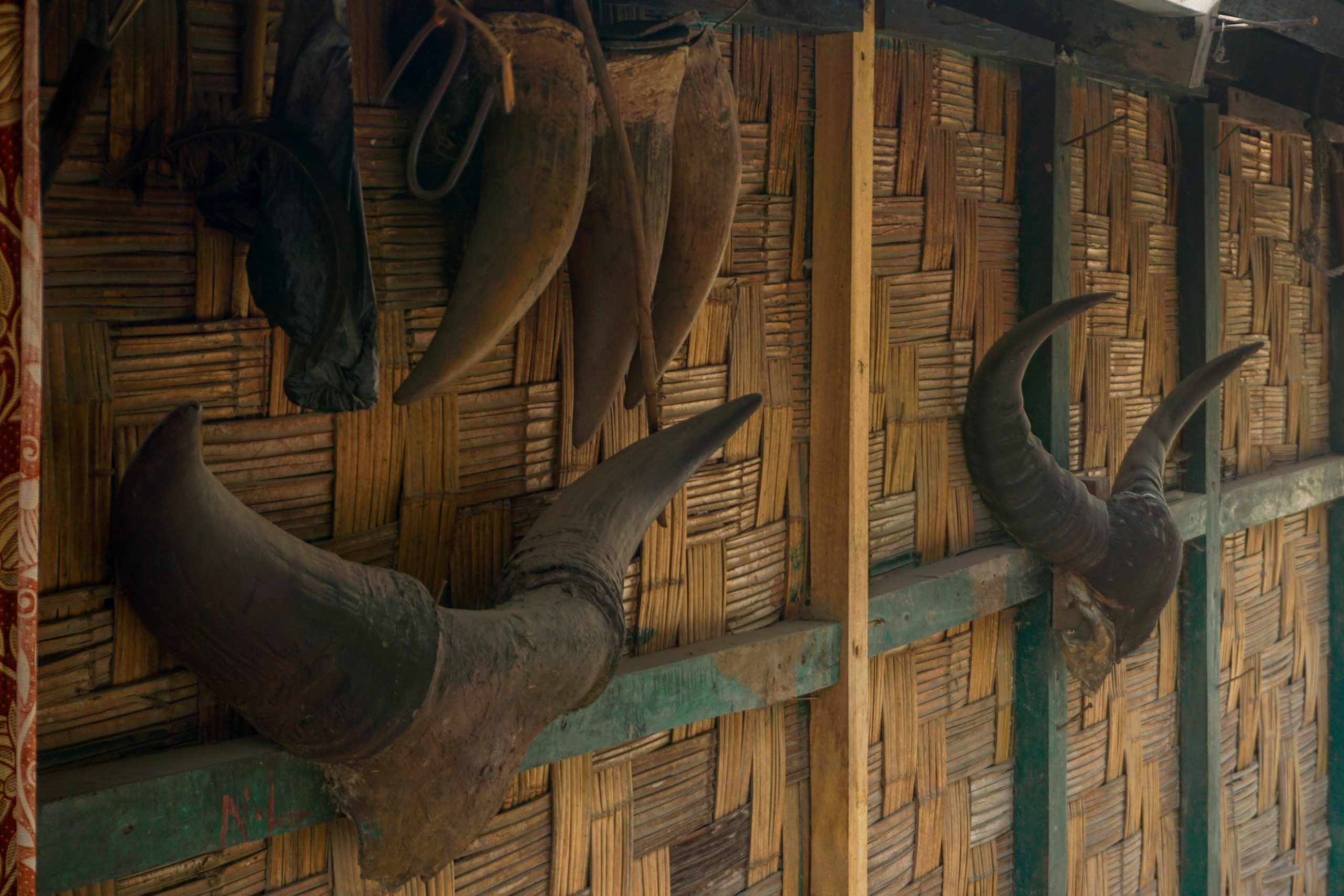 I saw these mounted bovine horns on one of the houses at the end of Bomdila Market.