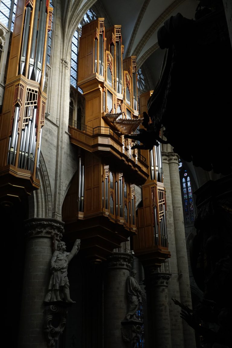 This was the only church/cathedral that had its pipe organ mounted on one of the sides of the nave.