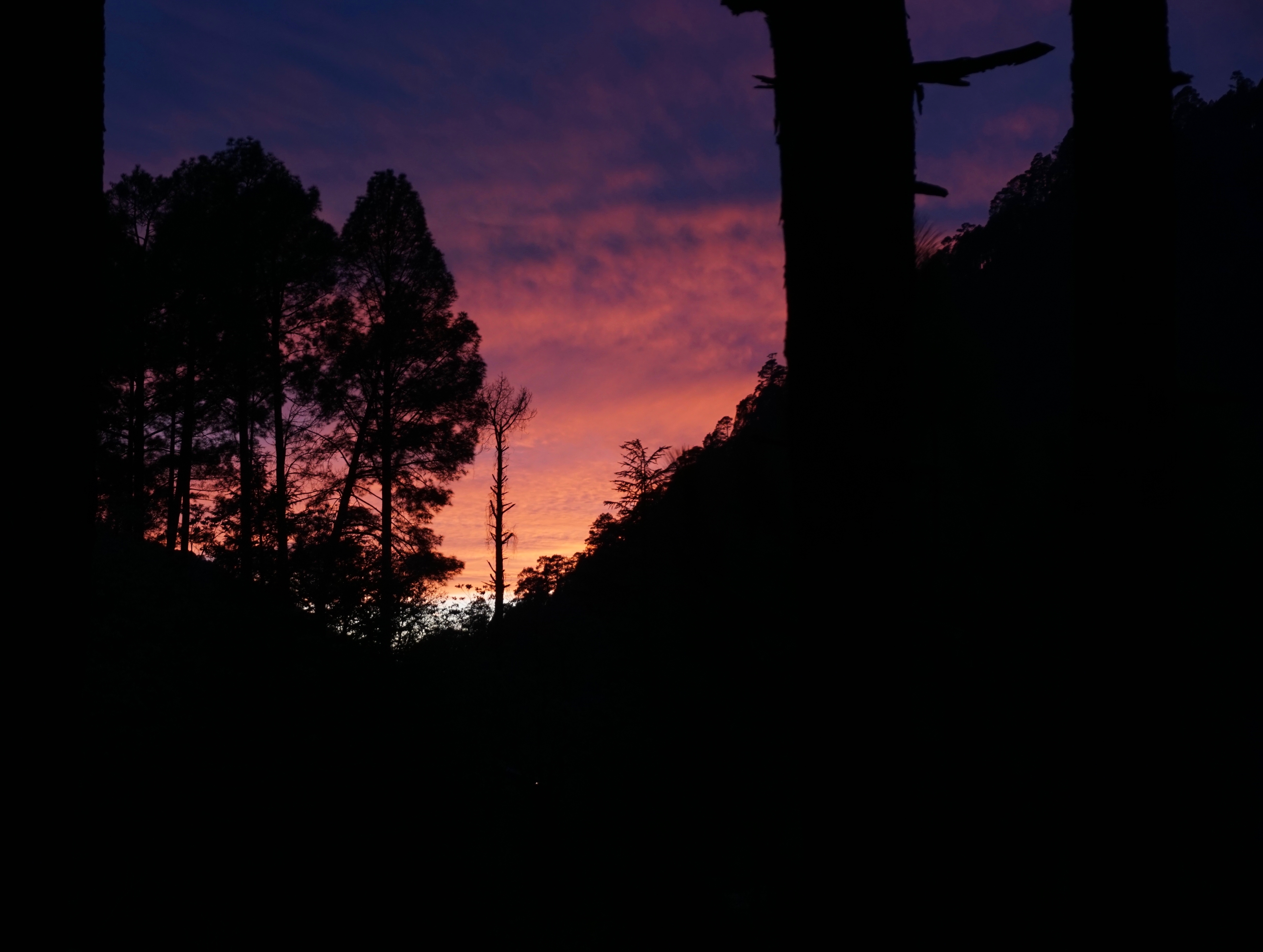 The sun was setting when we were at the checkpoint. Sankri was still twenty kilometres (and nearly one-and-a-half hour) away.