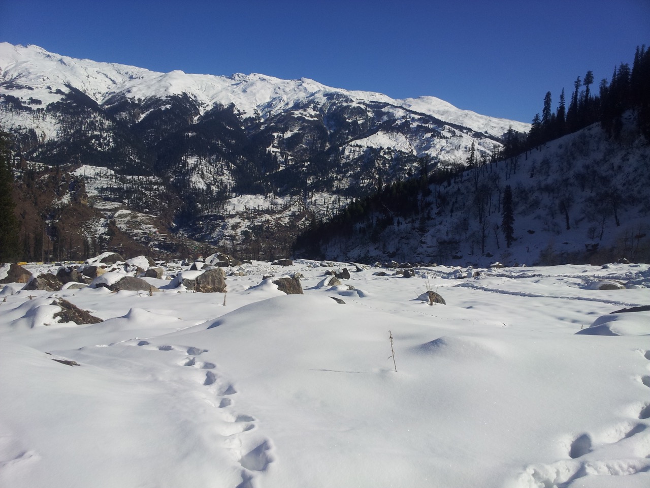 I went upto this point. There were no trails beyond this point. I am sure there was a way to climb up but I was under equipped.