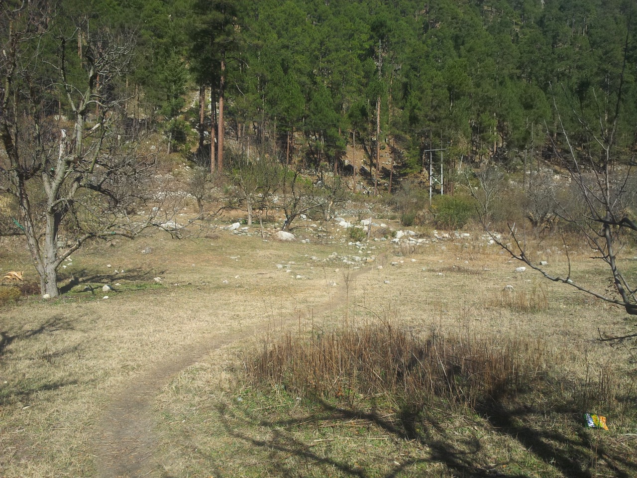 The wall that cuts the trail is visible behind the leafless trees.