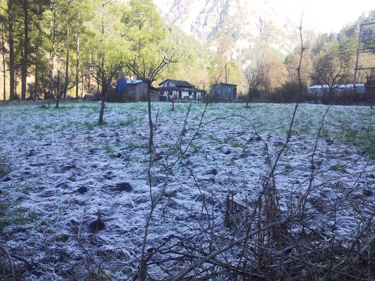 This is frost. Condensed water freezes in sub-zero temperatures at night. The absence of Sun rays prevent them from melting.