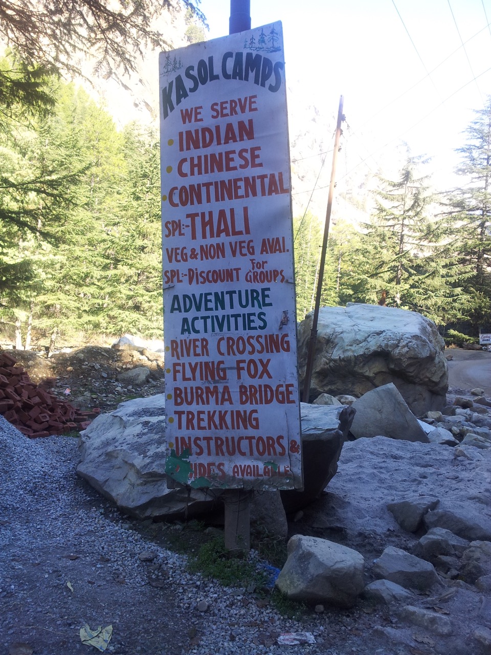 At the time I clicked this photograph, I did not know what [Flying Fox](https://en.wikipedia.org/wiki/Flying_fox_