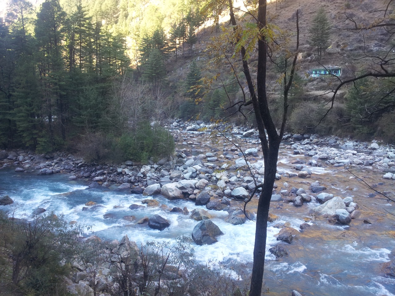 Parvati River forks here and meets again after a few hundred meters. It encircles an island of pine trees.