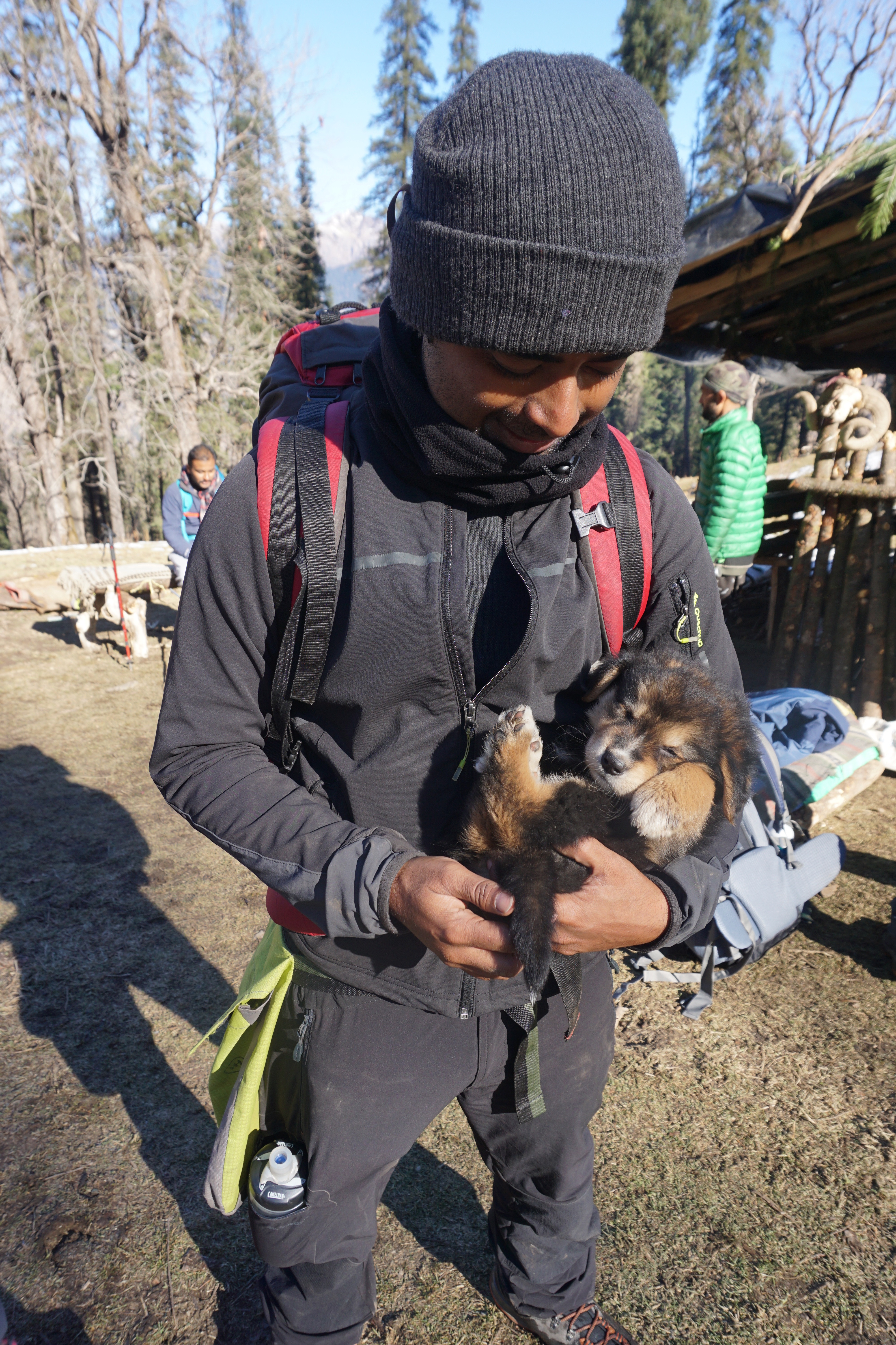 Me cuddling the Tibetan Mastiff puppy.