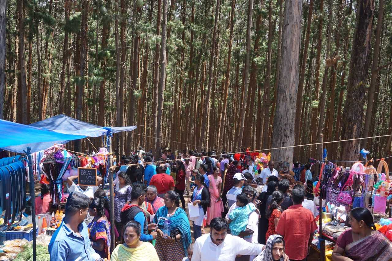 This is a pine forest that was used as a shooting spot for many movies. There is a marginal possibility that the number of people outnumbered the number of trees.