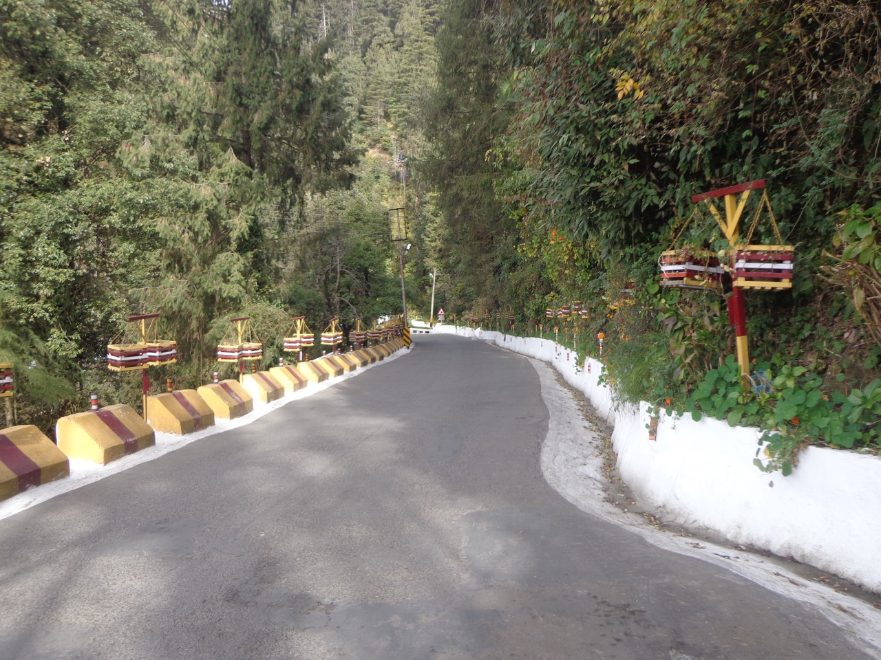 The road running through DPS campus is nicely decorated.