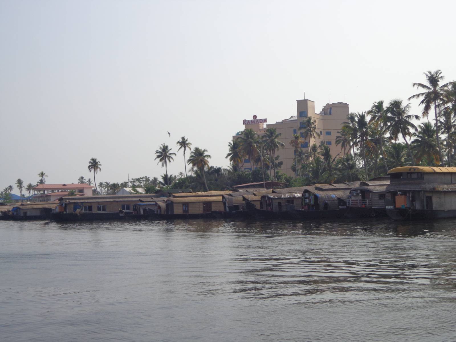 Houseboats parked at Alleppy backwaters.