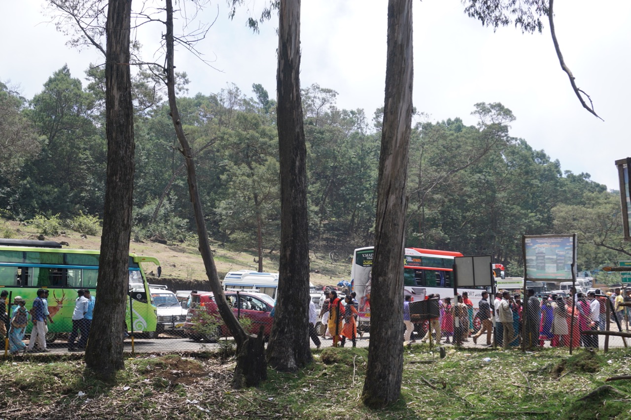 Traffic gods weren&rsquo;t with us today either.