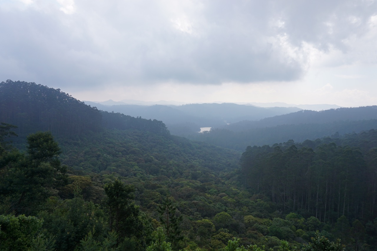 The hills from lake view point. Beyond the farthest hills is Munnar. There is no direct route to reach there.