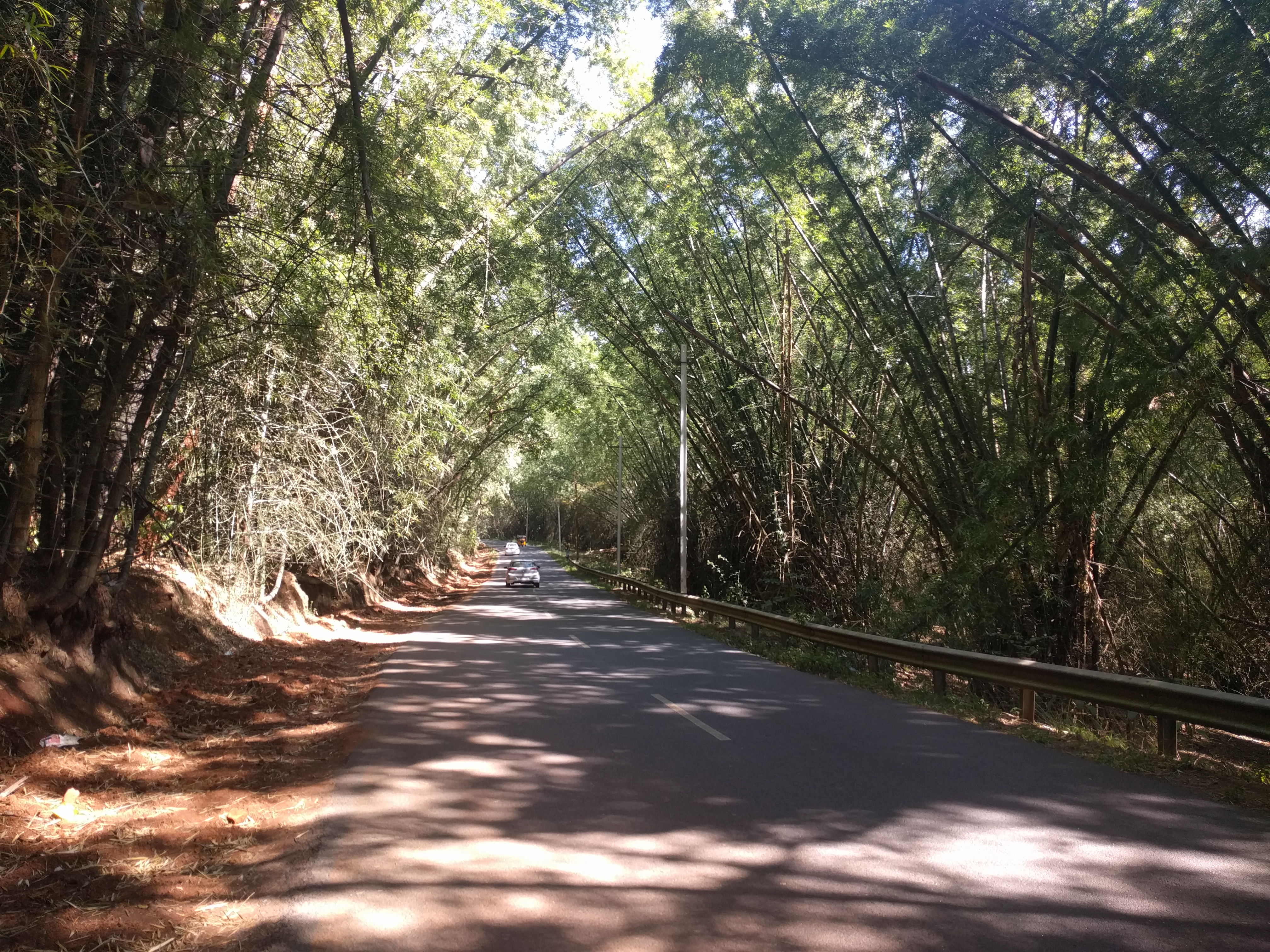 These bamboo grooves provided the much needed respite from the horrible temperatures. I believe we passed though areas where the temperatures were soaring around 35 degrees.