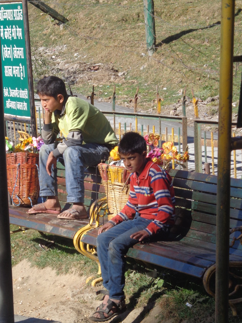 Two kids selling plastic flowers.