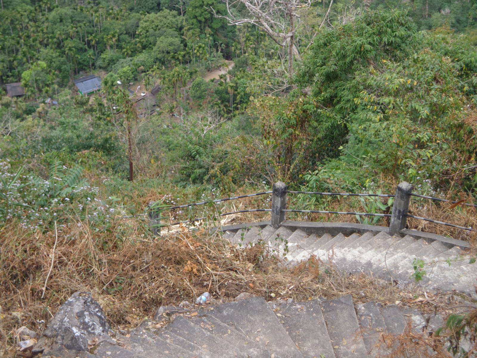 Unending flight of such stairs will make you aware of your calf muscles and your knee joint.