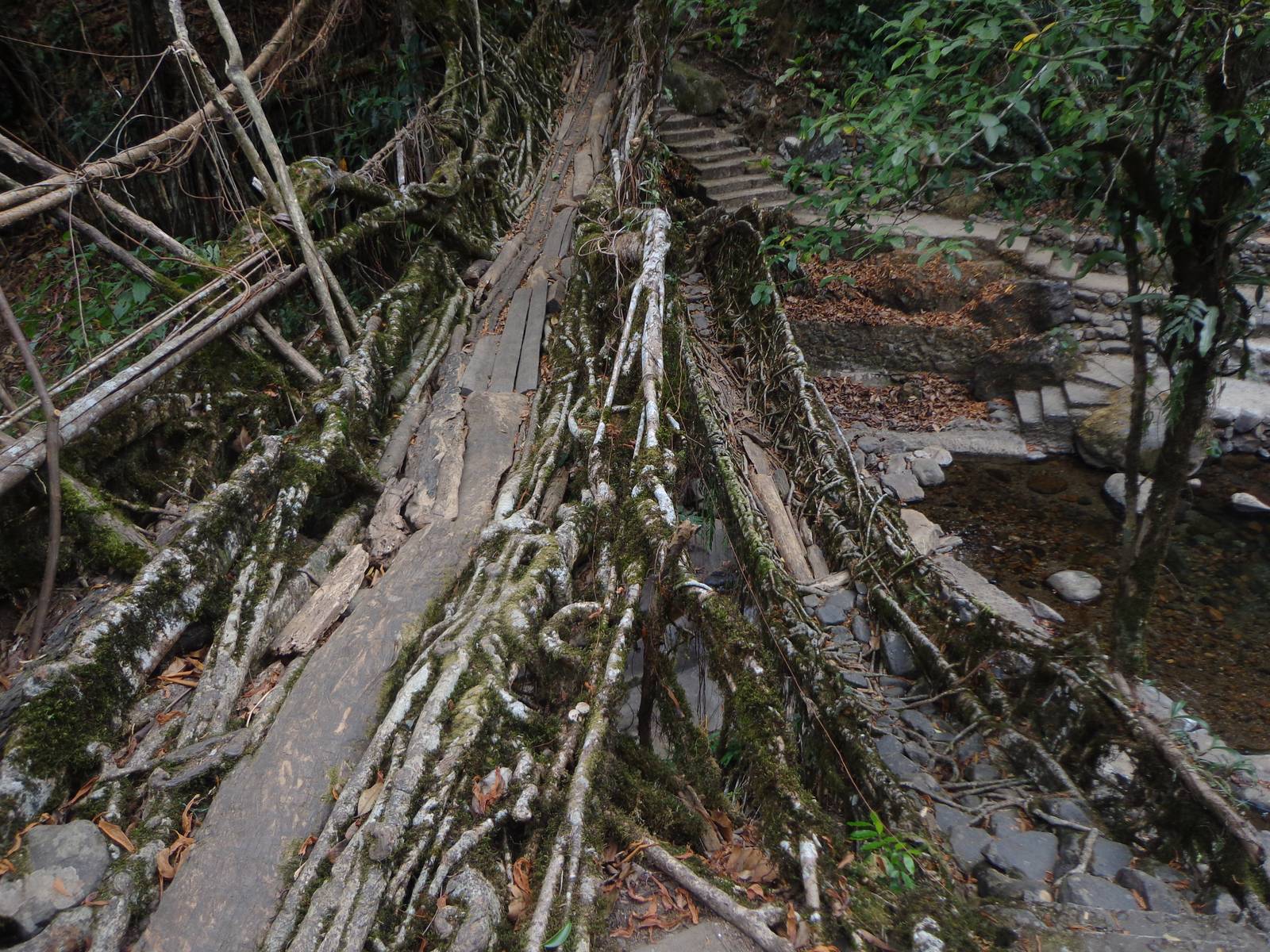 The two decks are staggered to make way for stairs that connect these levels.