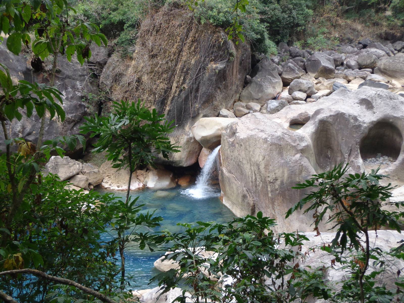 A bluish puddle of water, peeking through the leaves, caught my eye.