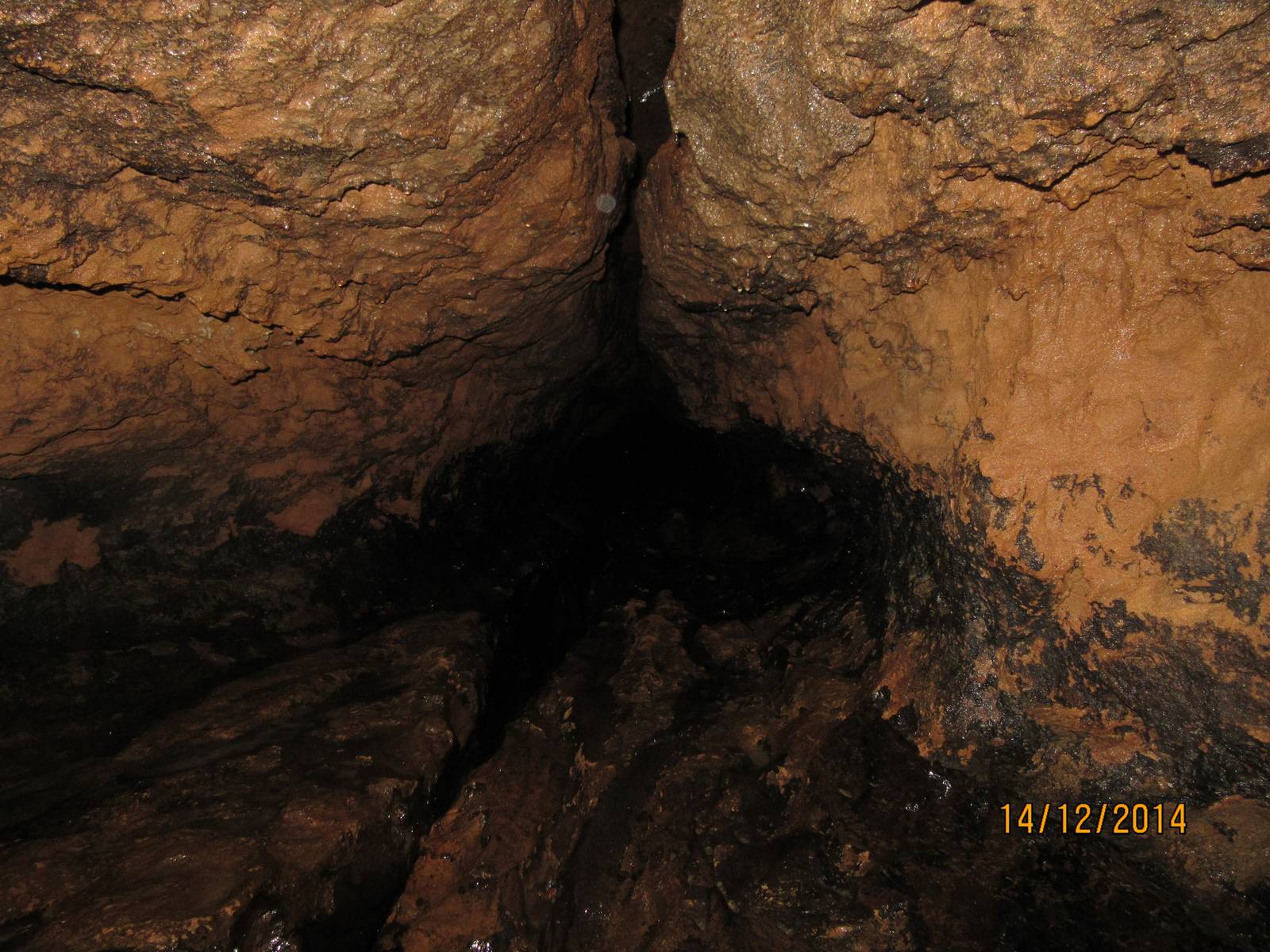 The traversable tunnels were narrow and low. Our only option was to crawl. Image courtesy: Gowri Sankar.