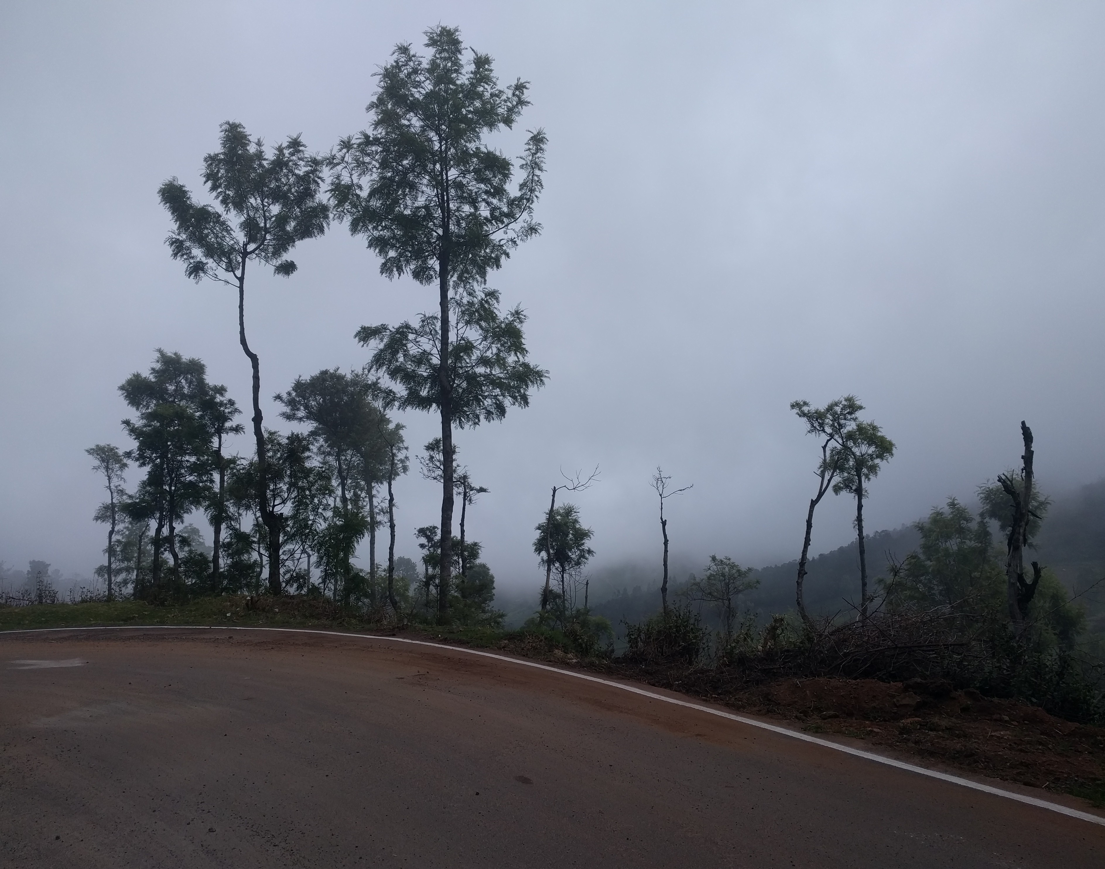 Only the nearest trees were visible. A fellow rider, Mayank, was about 100 metres ahead. He wasn&rsquo;t visible at all.