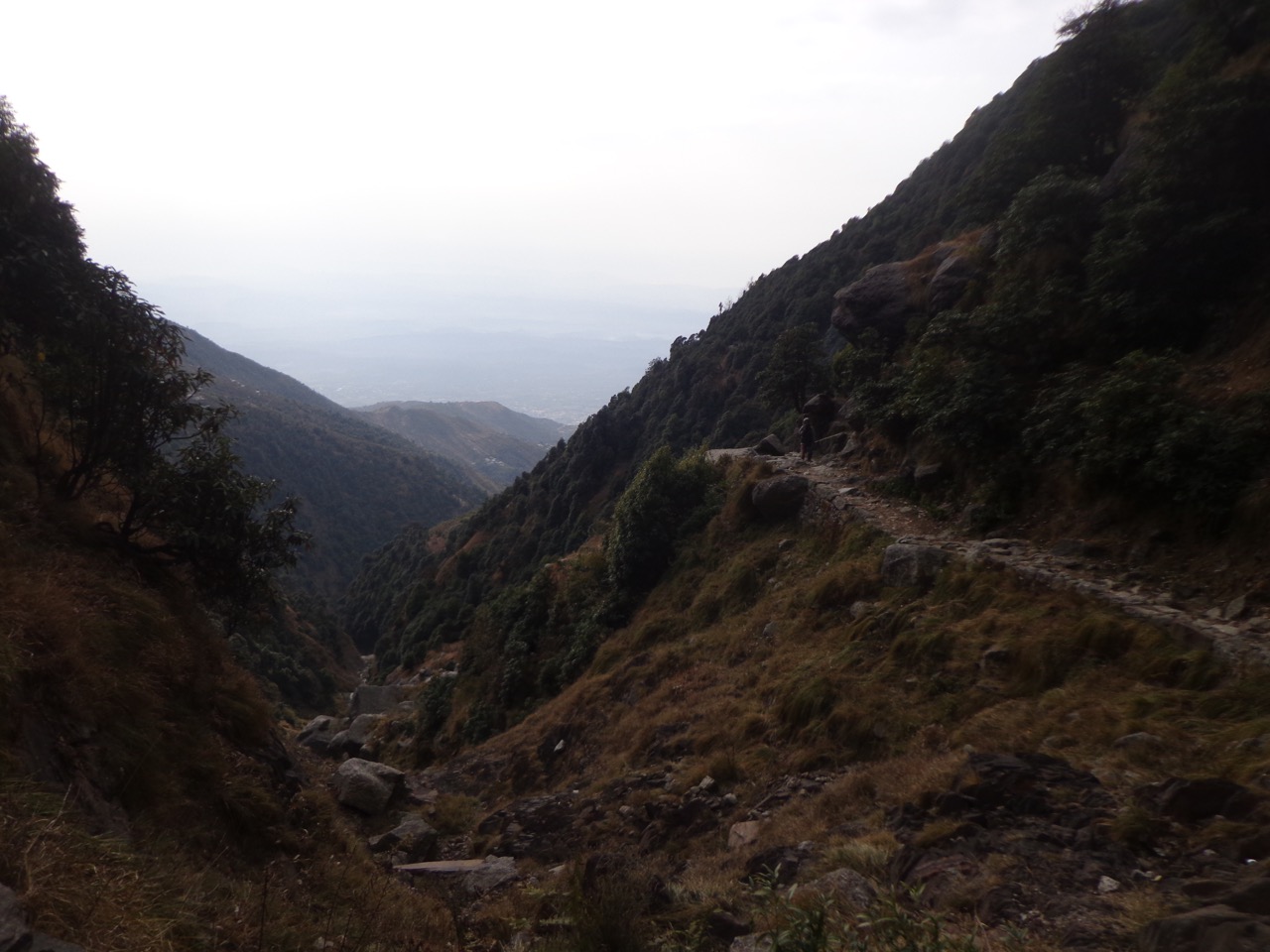 The brook down below is the closest source of water for the shacks on the trail.