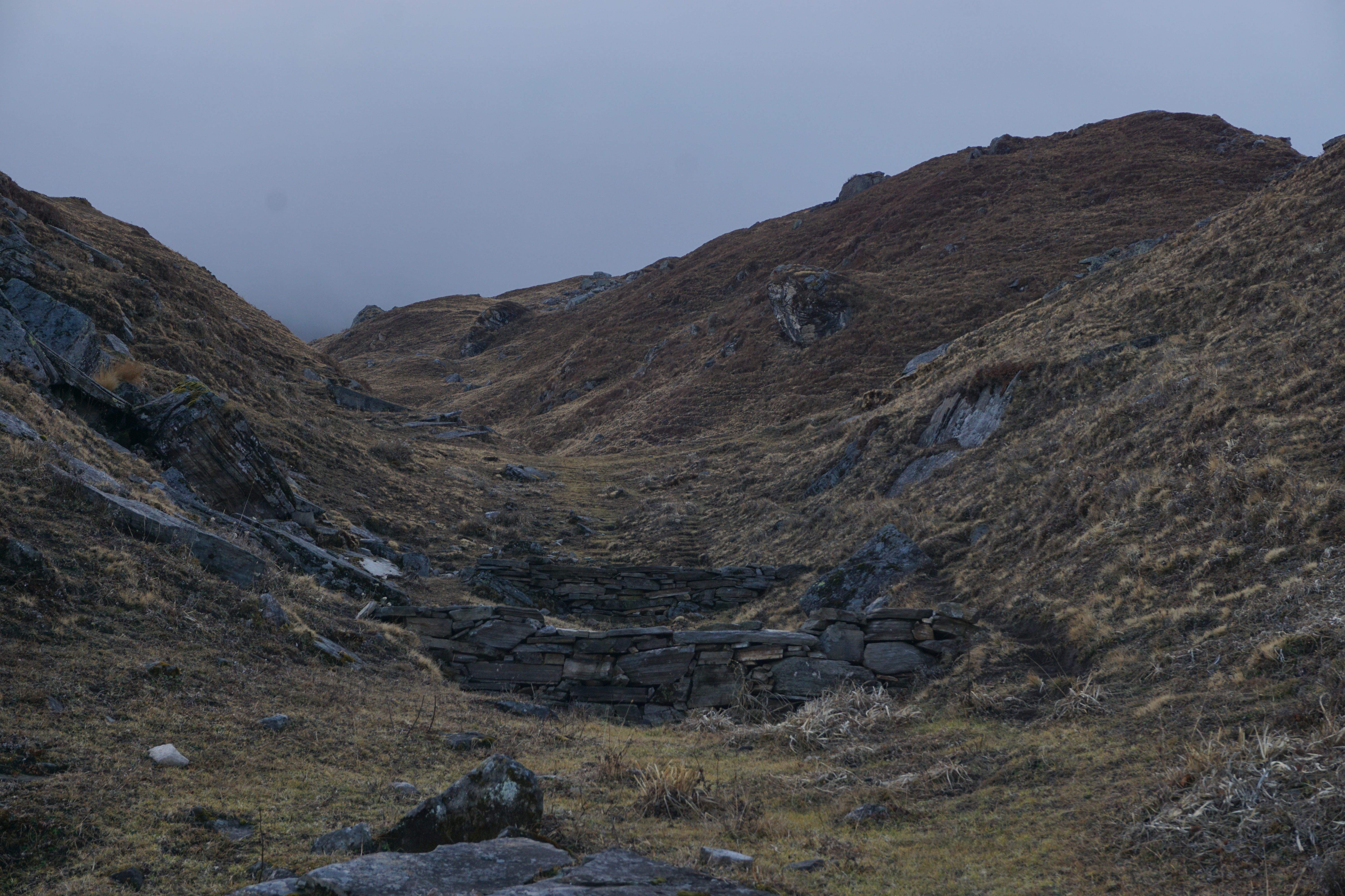 Monotonous and beautiful meadows of Gorson Bugyal.