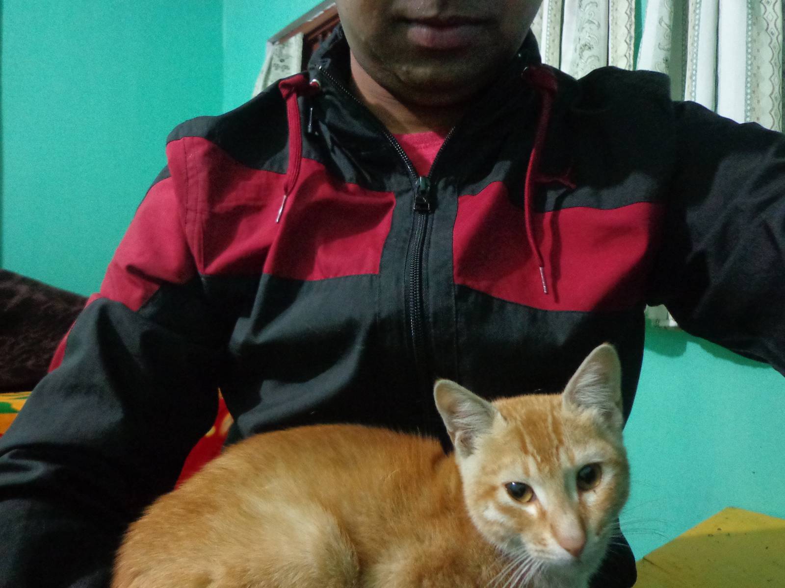 The cat was sleeping on Gowri Sankar&rsquo;s bed. Gowri Sankar was too asleep to notice his bedmate.