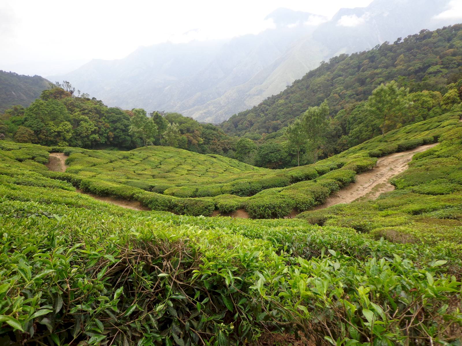 The border of Tamil Nadu.