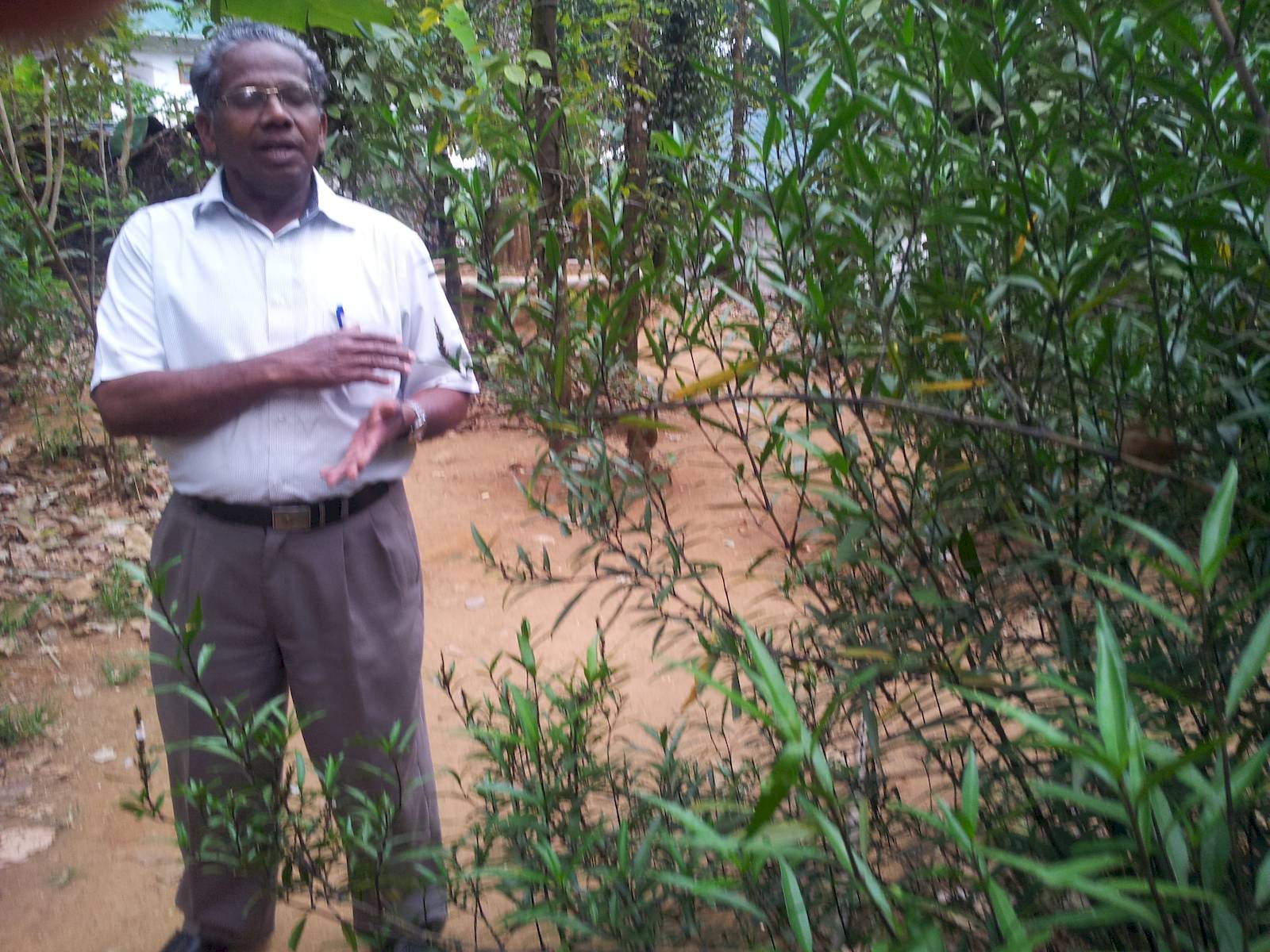Mr. Anthony giving us a tour of the spice garden.