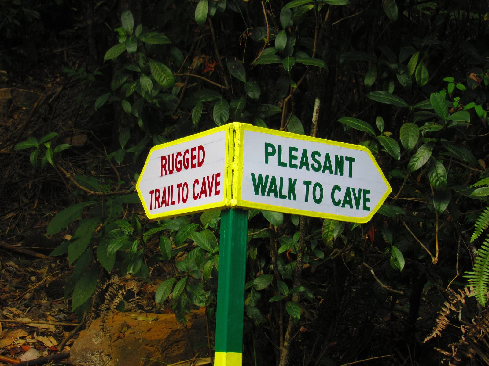 The diversion. We were fools to choose the rugged path. Image courtesy: Gowri Sankar.