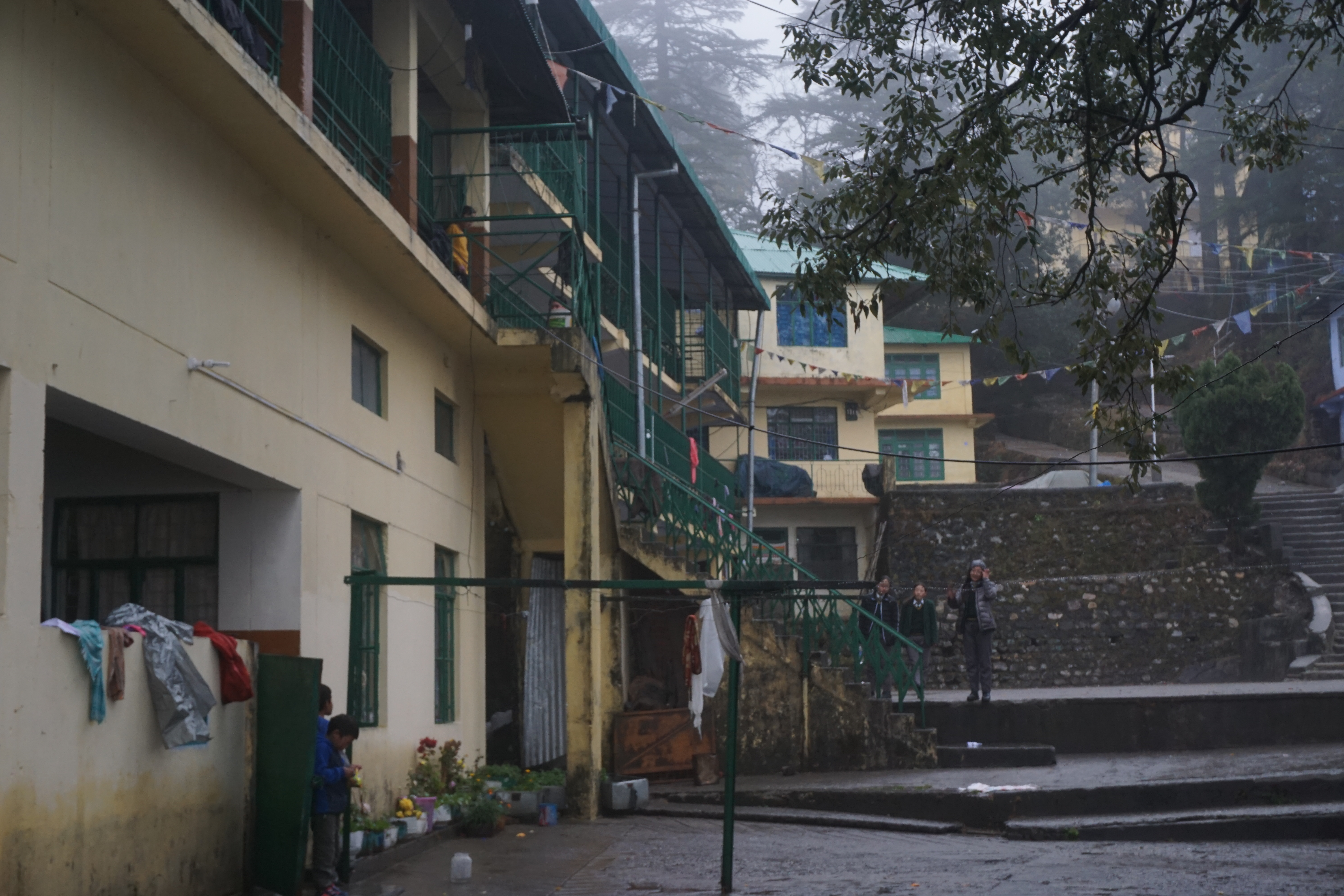 Musicians playing live in front of a shrine. The traditional instrument is Dan Nhi.