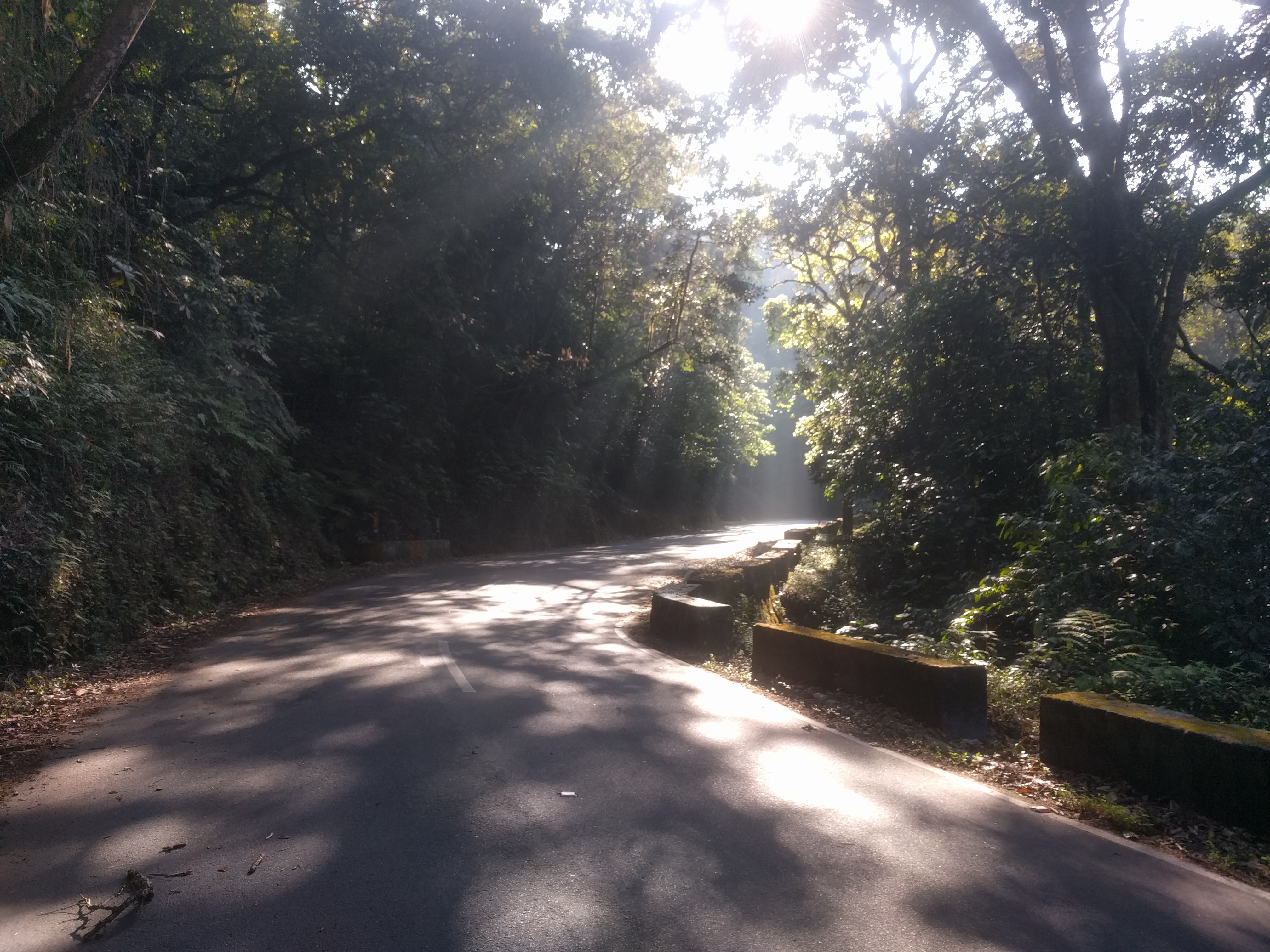 These were some of the most beautiful shades I had passed through in the last few days.