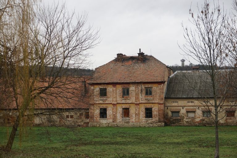 A dilapidated house that looked like it was abandoned.