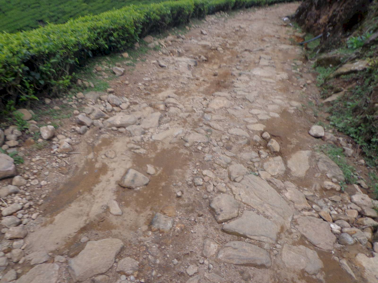 These rocky roads are narrow and has enough width for one vehicle. A vehicle has to halt at bends in order to allow any incoming vehicle to pass.