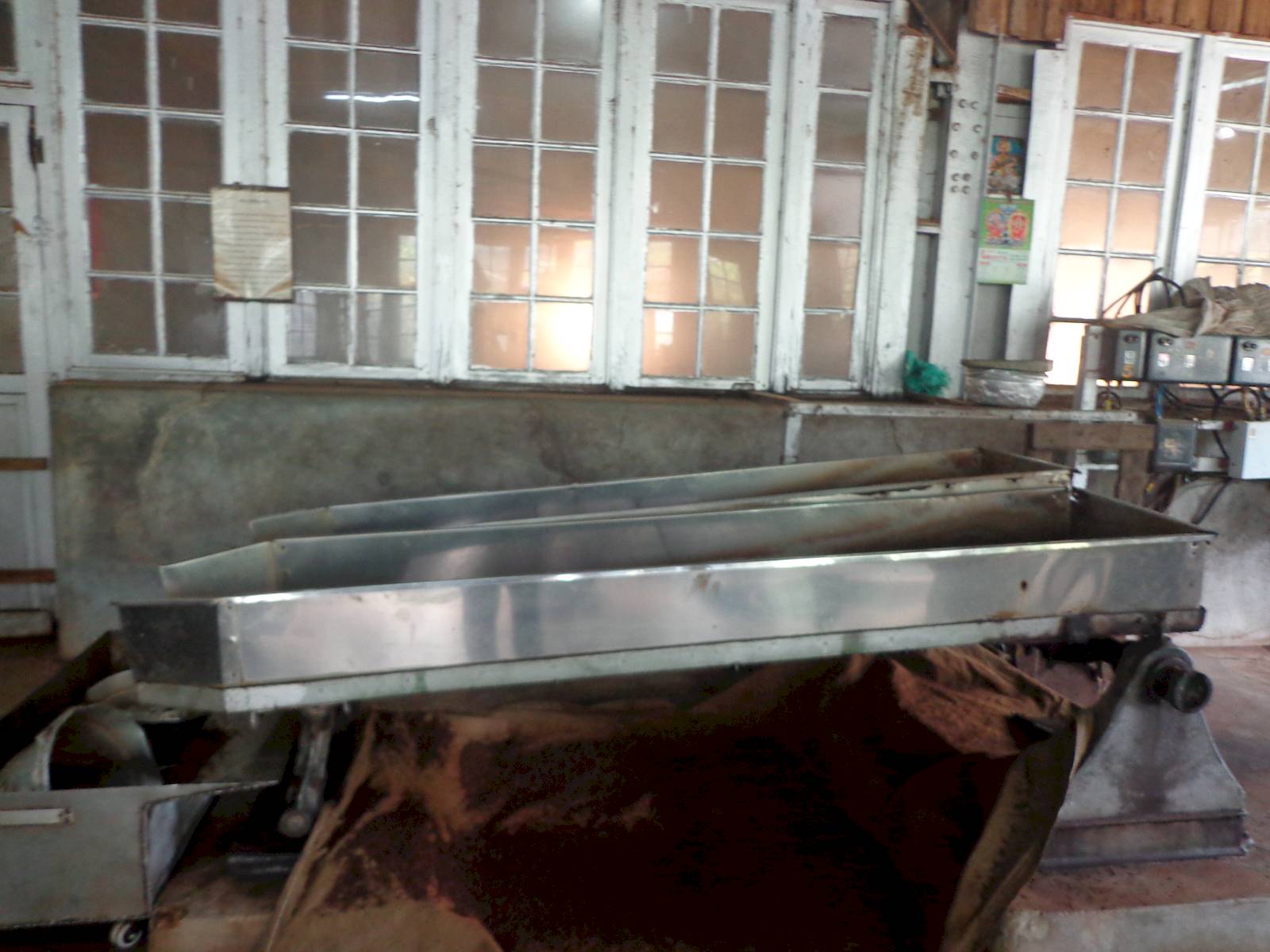 Step 1: The tea leaves are heated and then rolled. Well rolled leaves are sorted out and the coarser ones are sent back for rolling again.