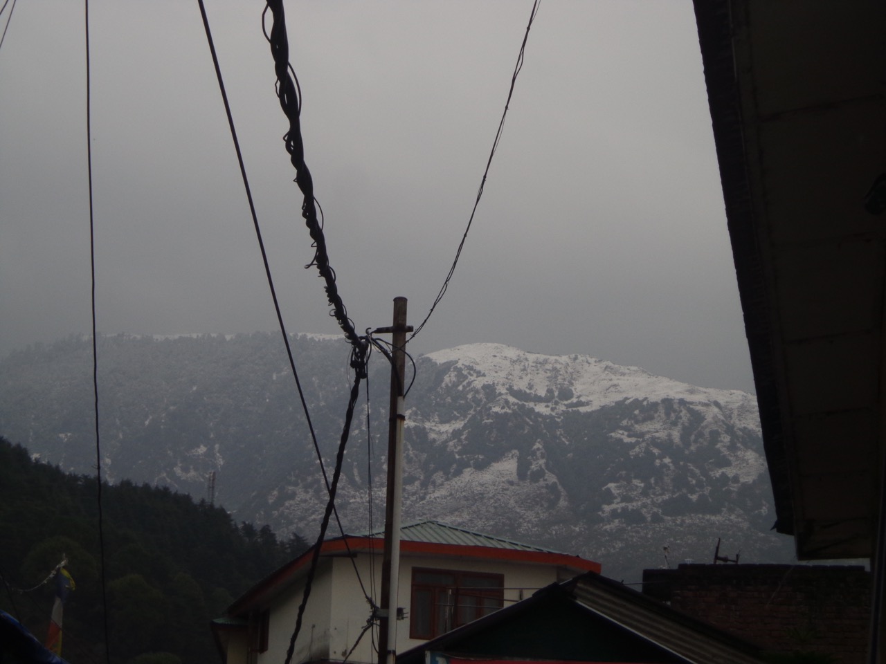 Triund hilltop was covered in snow. It was sheer coincidence that I had timed my trek on the right day.