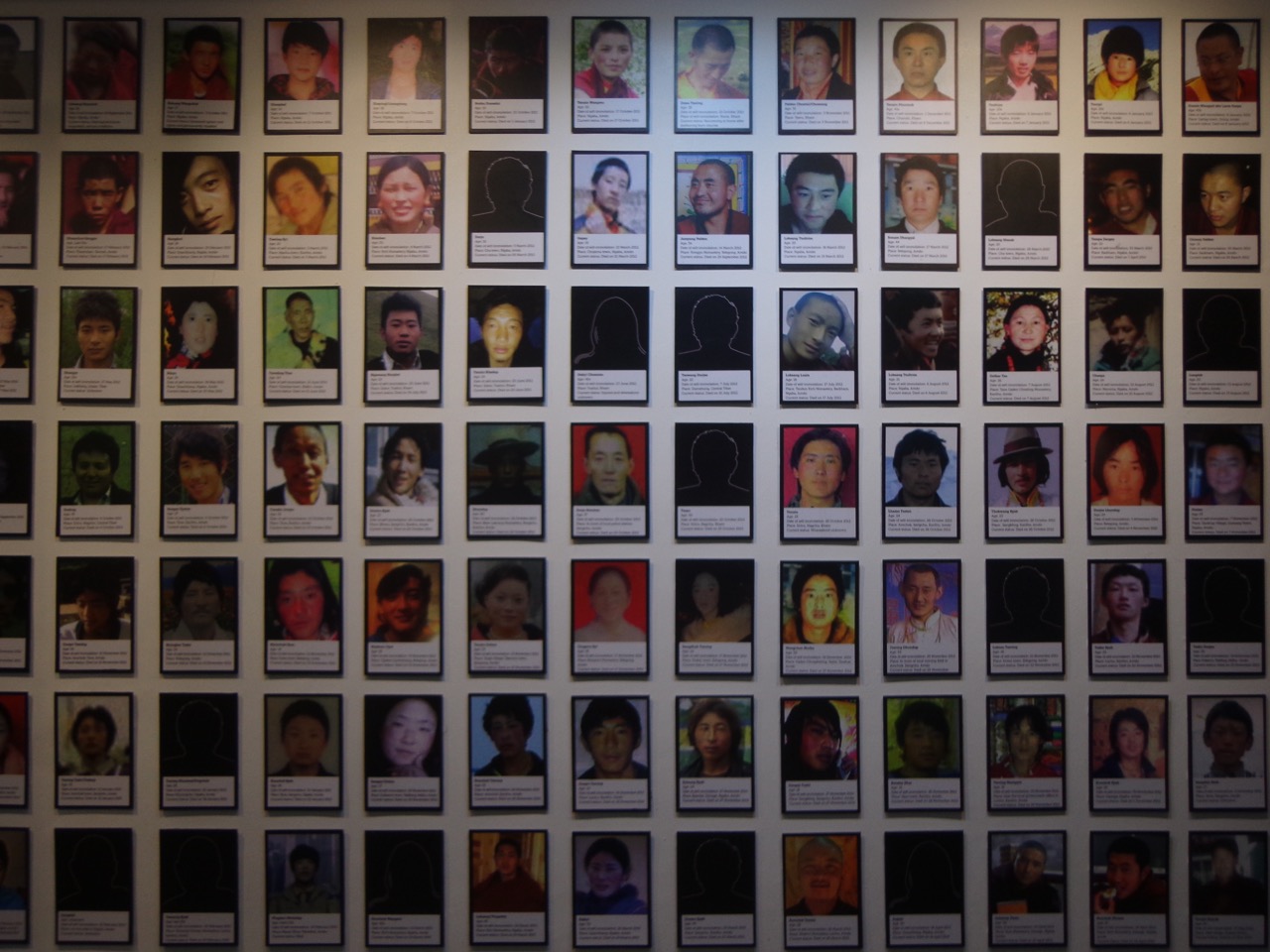 A large number of Tibetan people have immolated themselves in protest of China&rsquo;s cultural and political invasions.