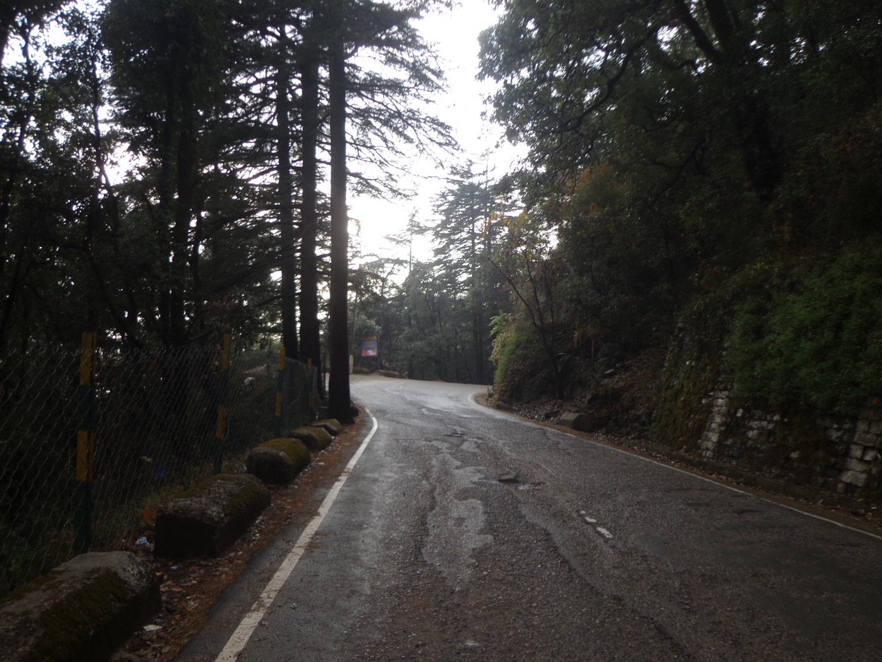 NH 503 runs through this beautiful forest.